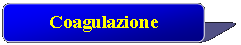 Rettangolo con angoli arrotondati: Coagulazione